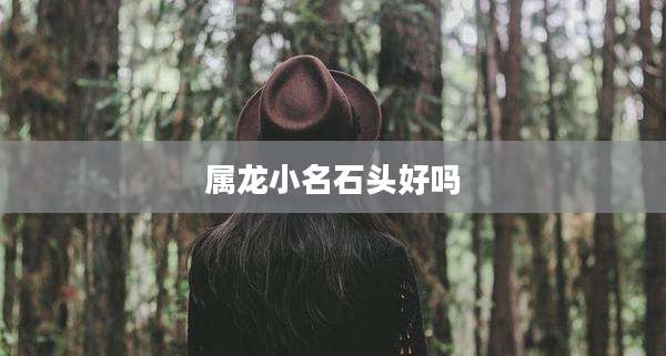 属龙小名石头好吗