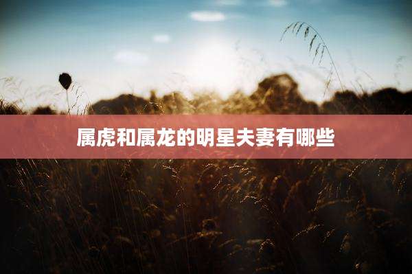 属虎和属龙的明星夫妻有哪些