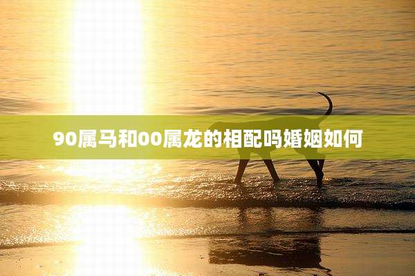 90属马和00属龙的相配吗婚姻如何