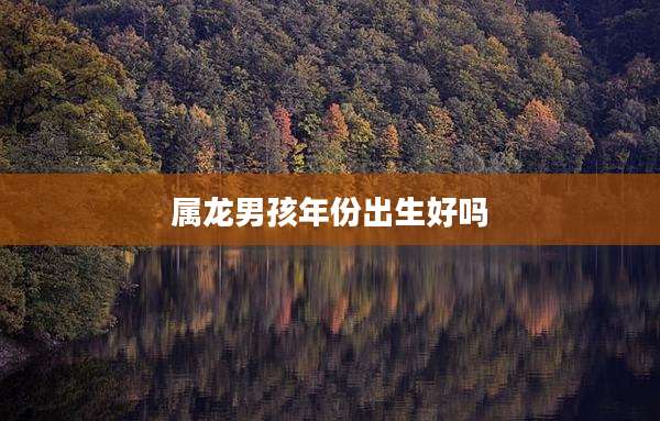 属龙男孩年份出生好吗