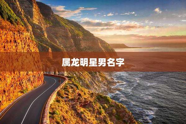 属龙明星男名字