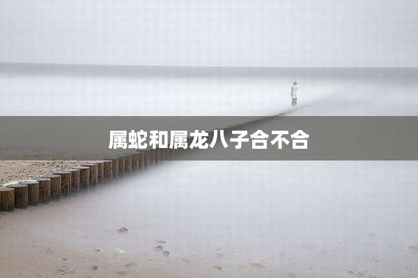 属蛇和属龙八子合不合
