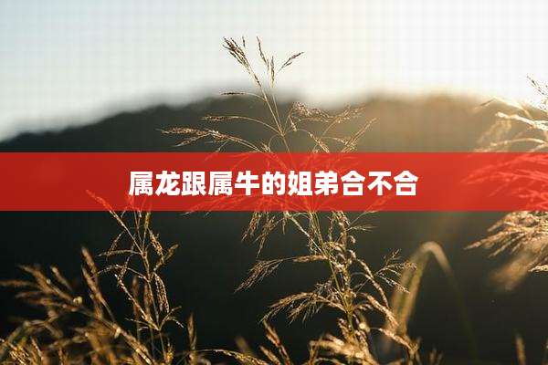 属龙跟属牛的姐弟合不合