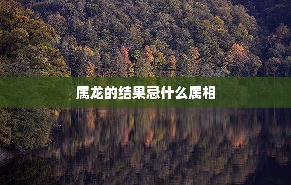 属龙的结果忌什么属相