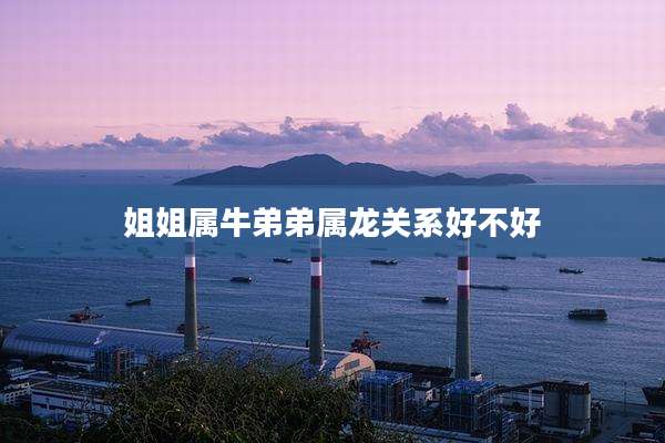 姐姐属牛弟弟属龙关系好不好