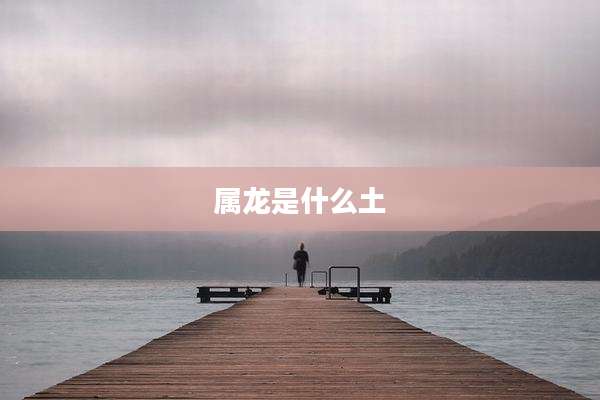 属龙是什么土