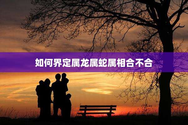 如何界定属龙属蛇属相合不合