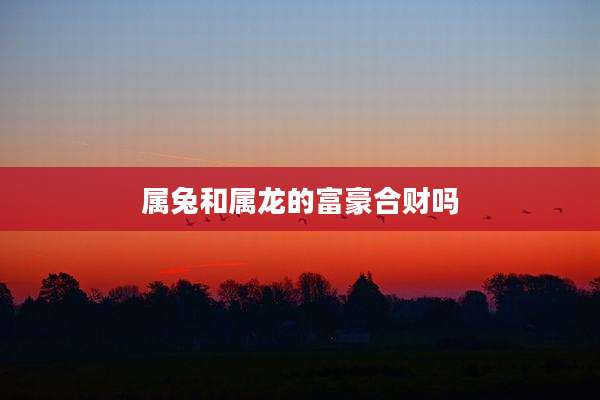 属兔和属龙的富豪合财吗