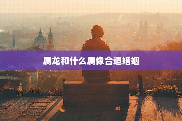 属龙和什么属像合适婚姻