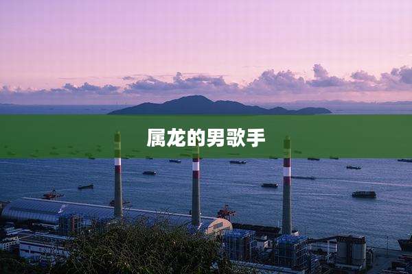 属龙的男歌手