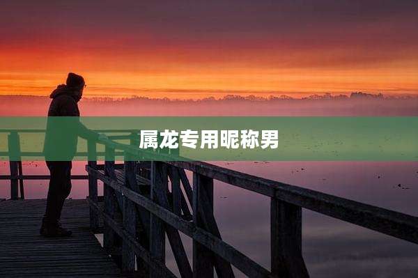属龙专用昵称男