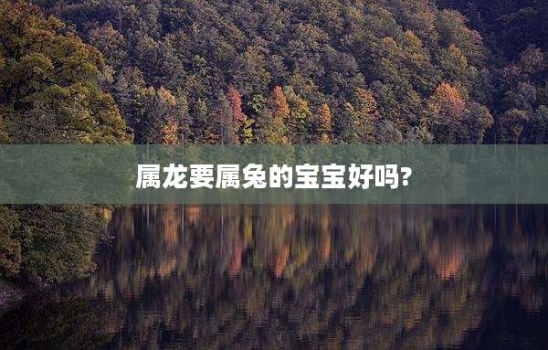 属龙要属兔的宝宝好吗?