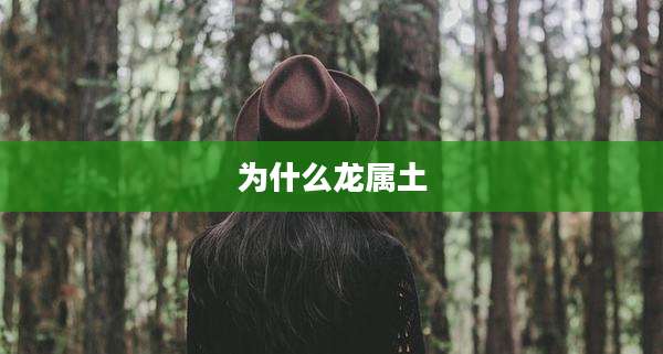 为什么龙属土