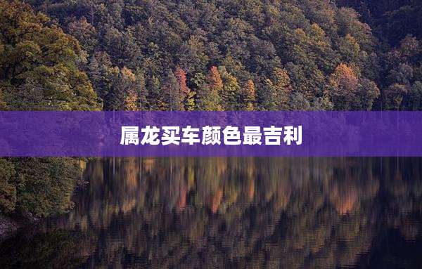 属龙买车颜色最吉利