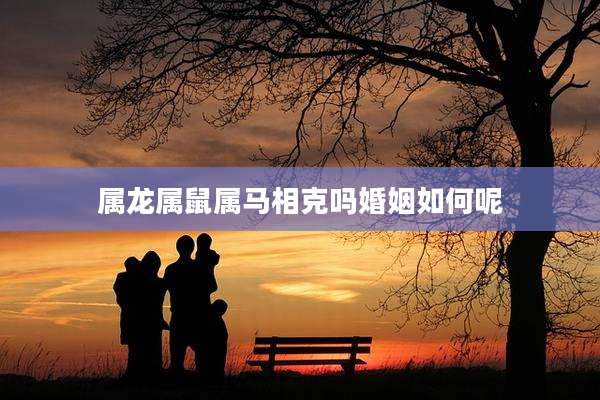 属龙属鼠属马相克吗婚姻如何呢