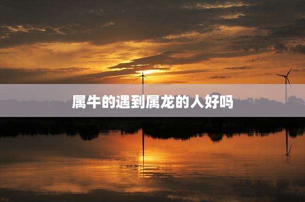 属牛的遇到属龙的人好吗