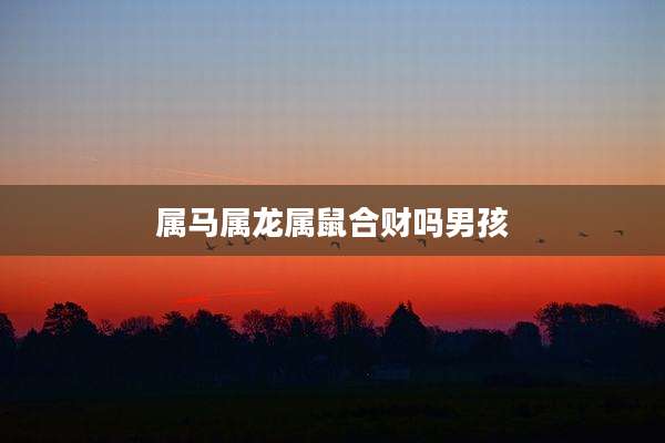 属马属龙属鼠合财吗男孩