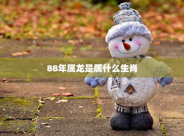 88年属龙是属什么生肖