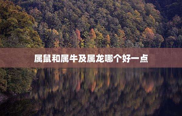 属鼠和属牛及属龙哪个好一点
