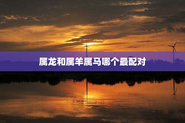 属龙和属羊属马哪个最配对