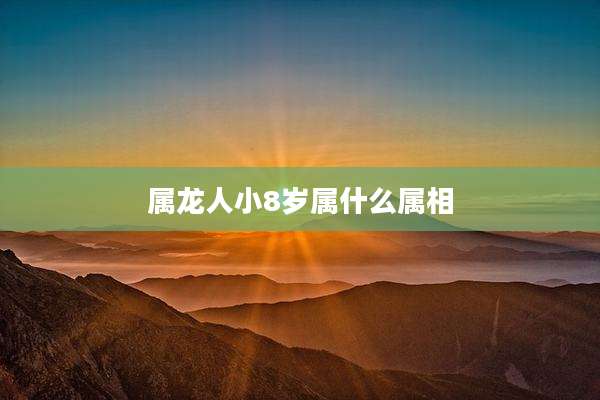 属龙人小8岁属什么属相