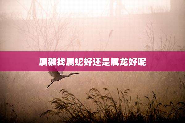 属猴找属蛇好还是属龙好呢