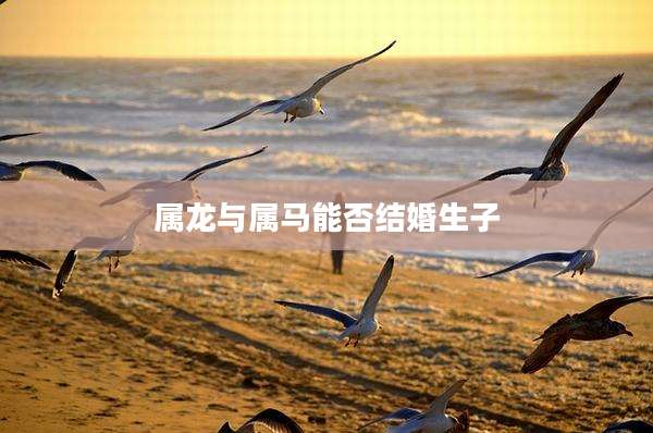 属龙与属马能否结婚生子