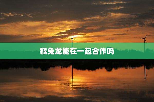猴兔龙能在一起合作吗