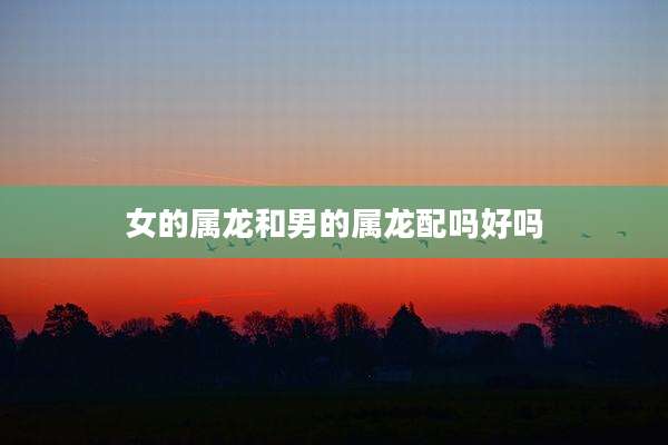 女的属龙和男的属龙配吗好吗