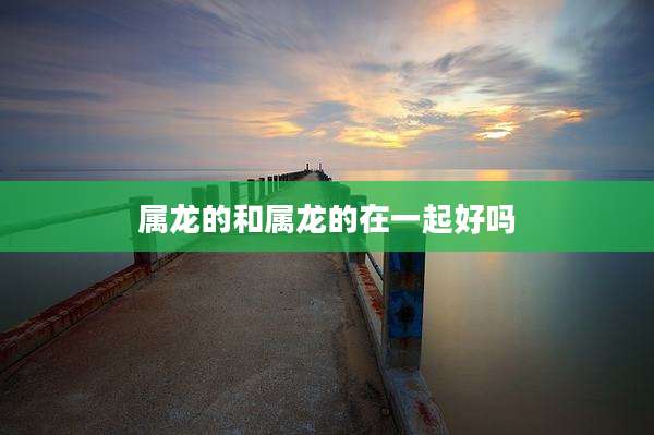 属龙的和属龙的在一起好吗