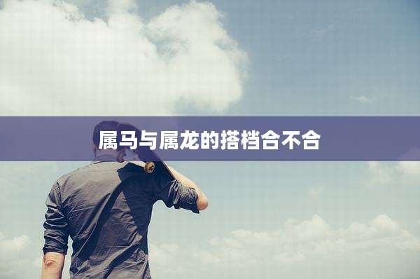 属马与属龙的搭档合不合