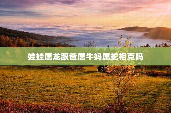 娃娃属龙跟爸属牛妈属蛇相克吗