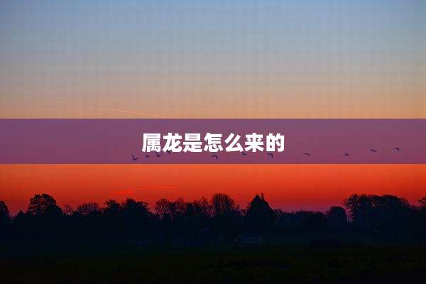 属龙是怎么来的