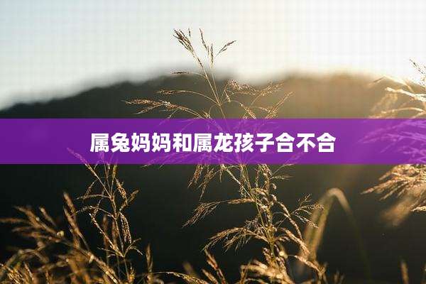 属兔妈妈和属龙孩子合不合