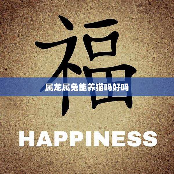 属龙属兔能养猫吗好吗
