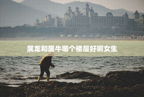 属龙和属牛哪个楼层好啊女生