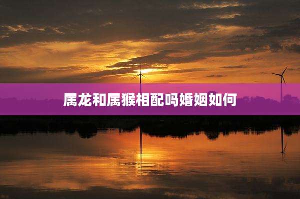 属龙和属猴相配吗婚姻如何