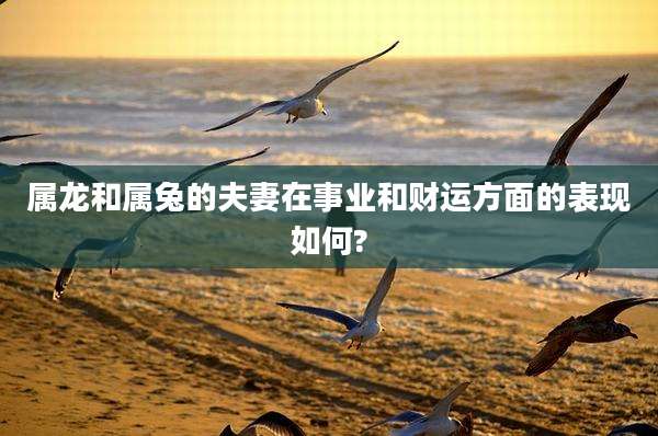 属龙和属兔的夫妻在事业和财运方面的表现如何?