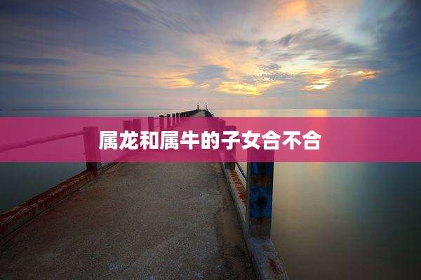属龙和属牛的子女合不合