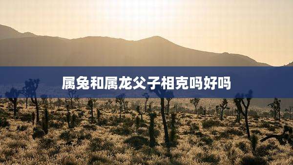 属兔和属龙父子相克吗好吗