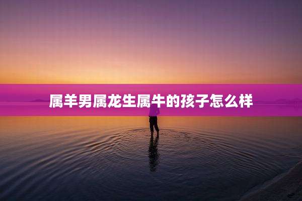 属羊男属龙生属牛的孩子怎么样