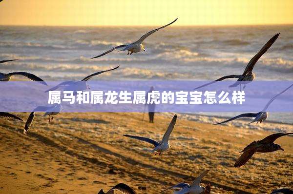 属马和属龙生属虎的宝宝怎么样