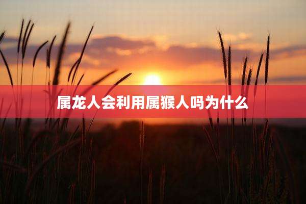 属龙人会利用属猴人吗为什么