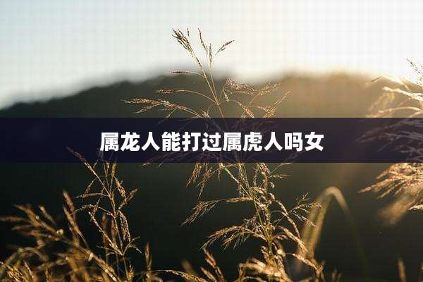 属龙人能打过属虎人吗女