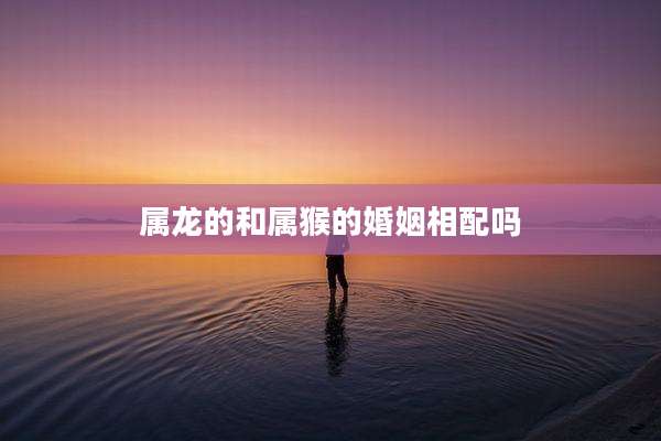 属龙的和属猴的婚姻相配吗