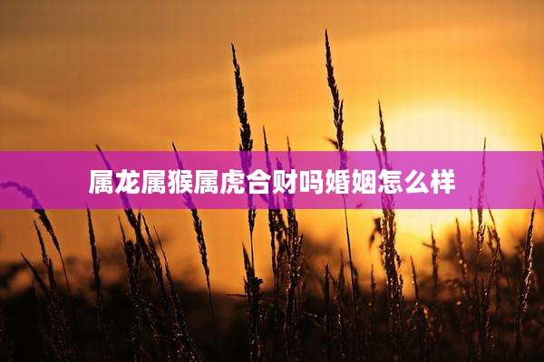 属龙属猴属虎合财吗婚姻怎么样