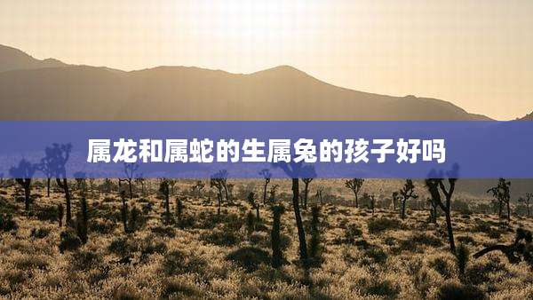 属龙和属蛇的生属兔的孩子好吗