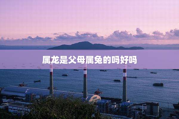 属龙是父母属兔的吗好吗