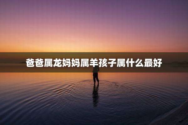 爸爸属龙妈妈属羊孩子属什么最好