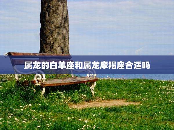 属龙的白羊座和属龙摩羯座合适吗